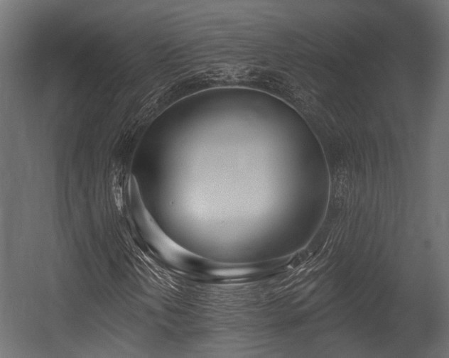 X0000054441202200507291309