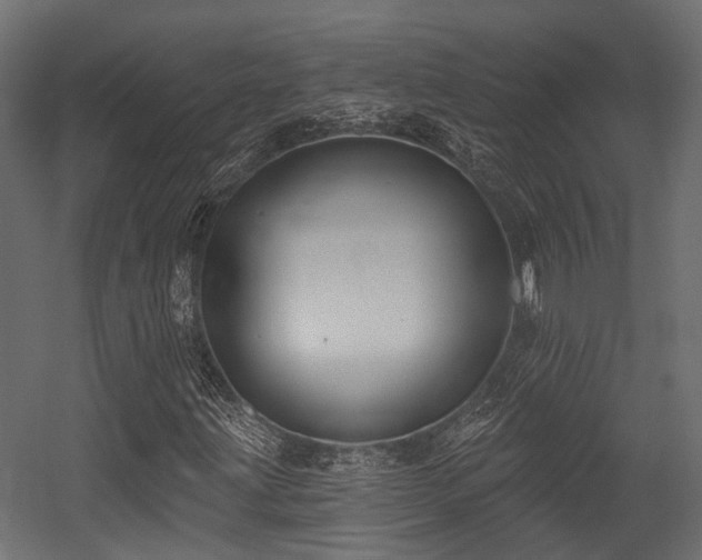 X0000054441203200507291309