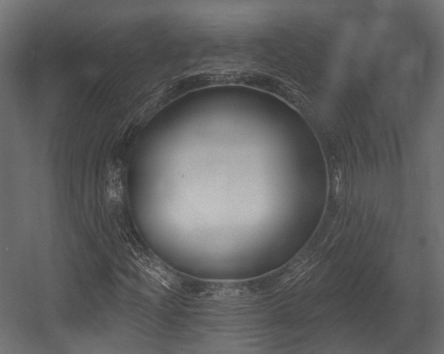 X0000054441204200507291309
