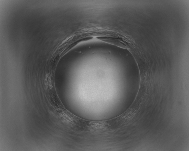 X0000054441205200507291309
