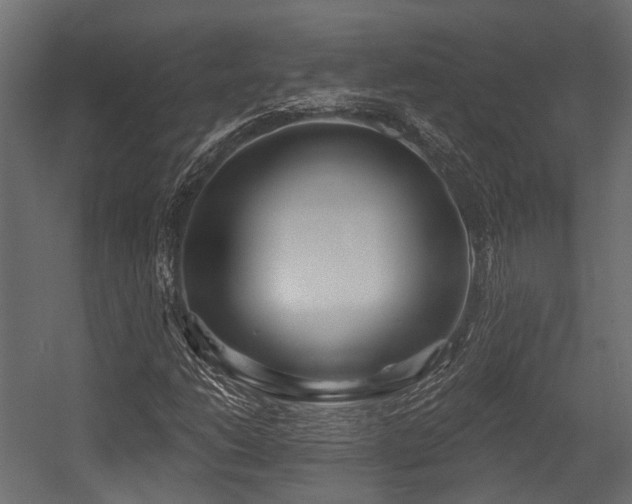 X0000054441206200507291309