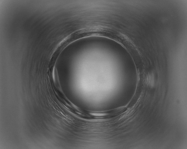 X0000054441210200507291309
