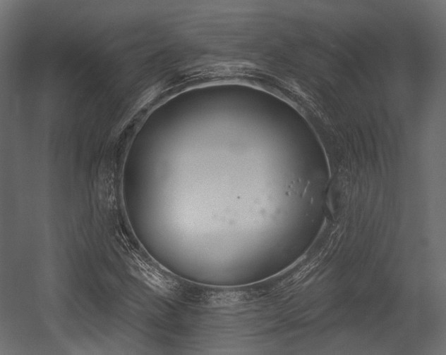 X0000054441211200507291309