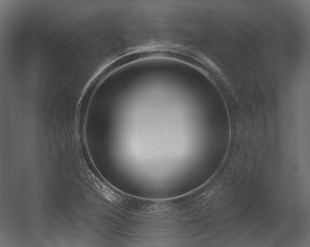 X0000054441216200507291309