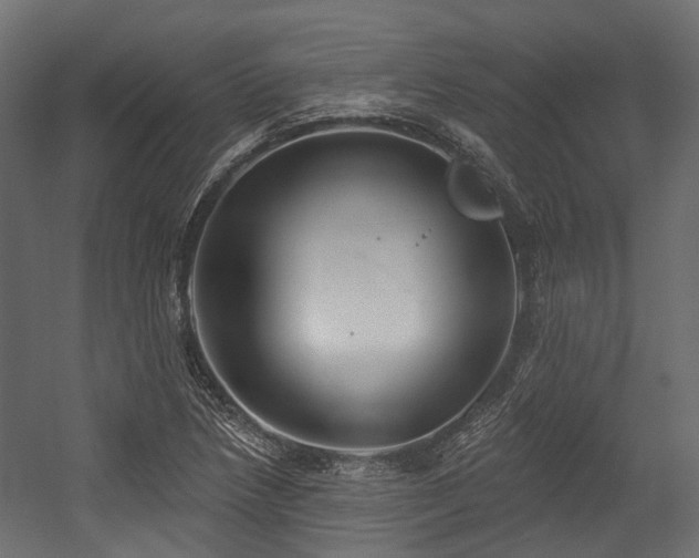 X0000054441218200507291309