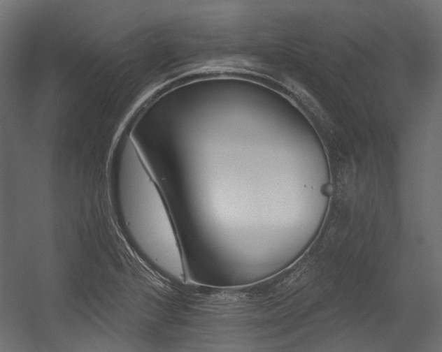 X0000054441224200507291309