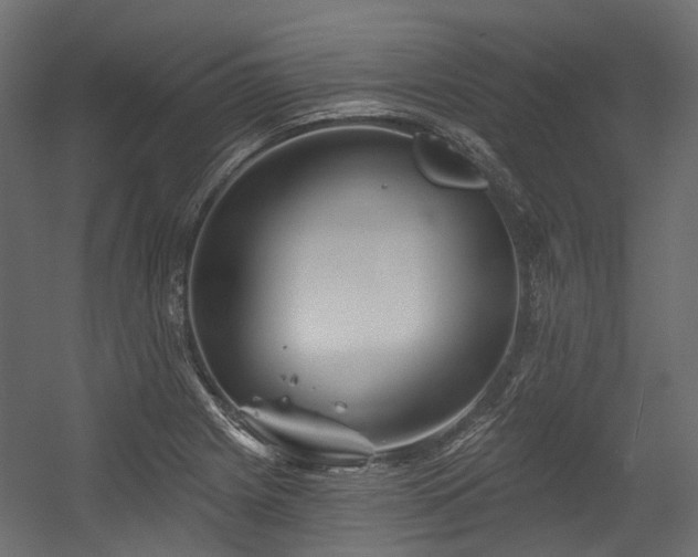 X0000054441225200507291309