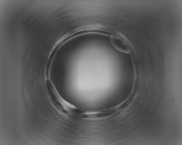 X0000054441226200507291309