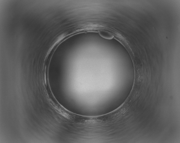 X0000054441227200507291309