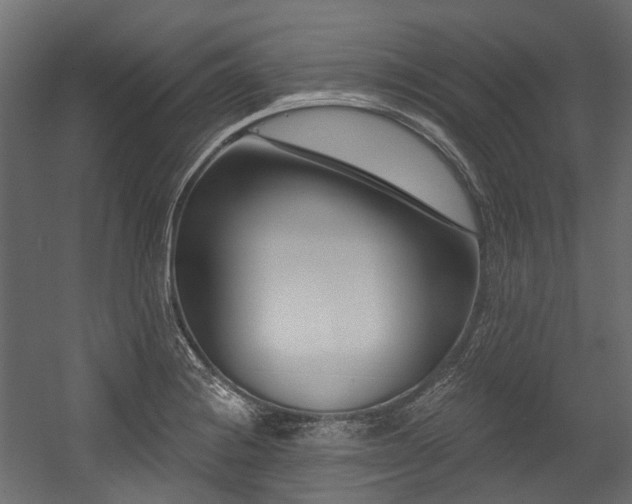 X0000054441228200507291309