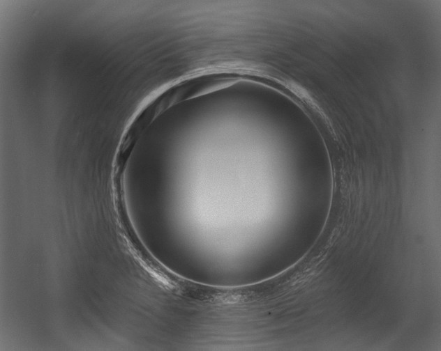X0000054441230200507291309