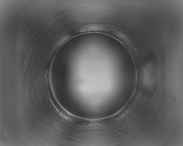 X0000054441233200507291309