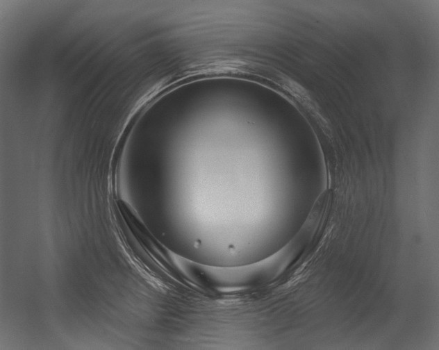 X0000054441234200507291309