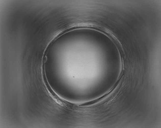 X0000054441237200507291309