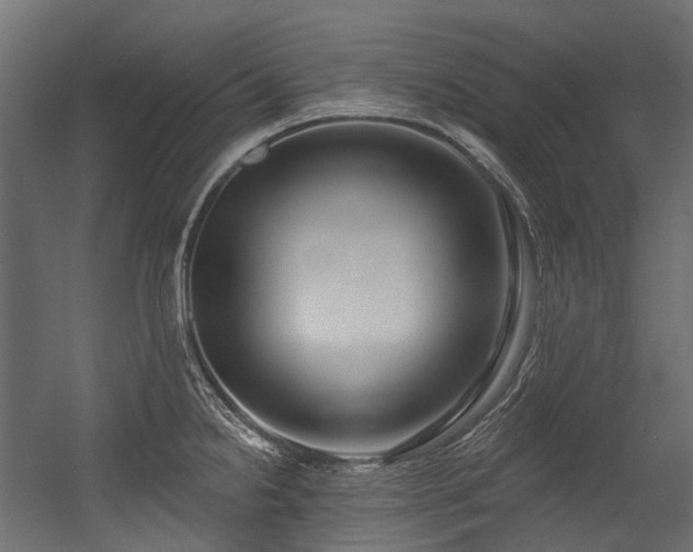 X0000054441238200507291309