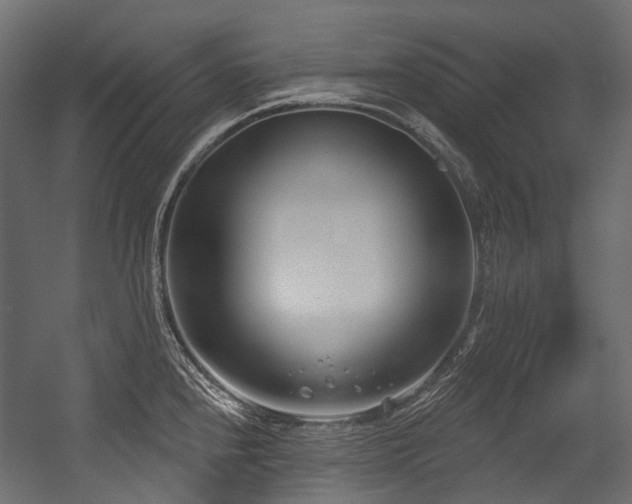 X0000054441240200507291309