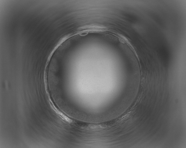 X0000054441243200507291309