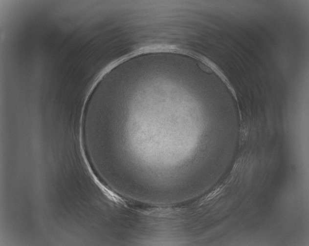X0000054441245200507291309