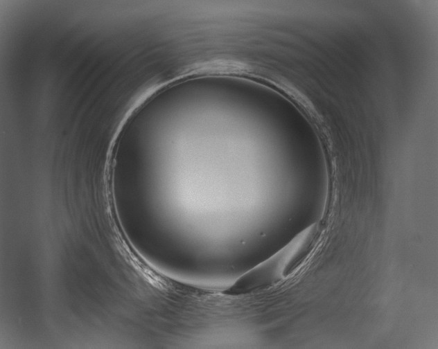 X0000054441248200507291309