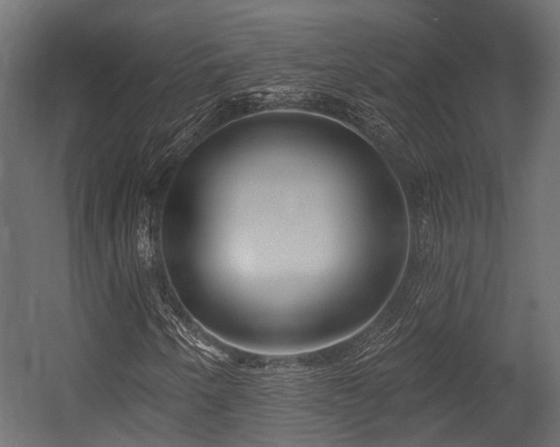 X0000054441250200507291308