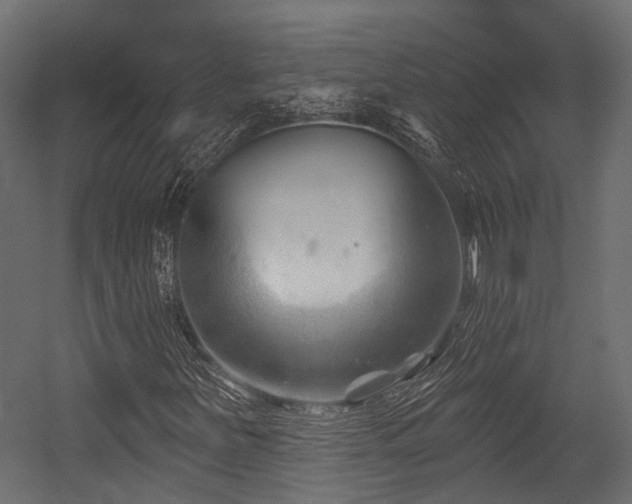 X0000054441251200507291308