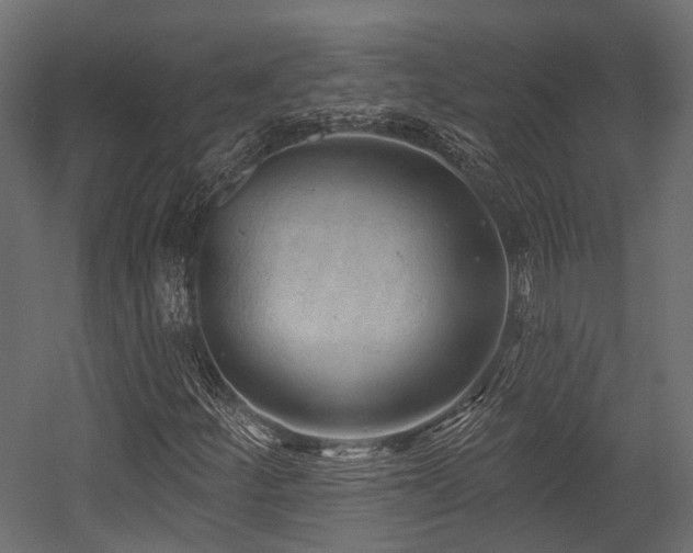 X0000054441252200507291308