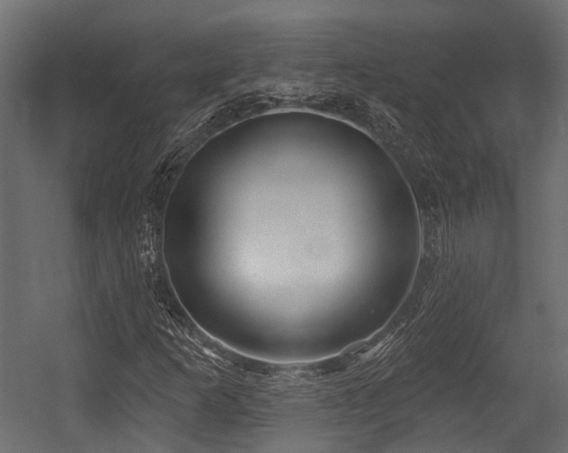 X0000054441253200507291308