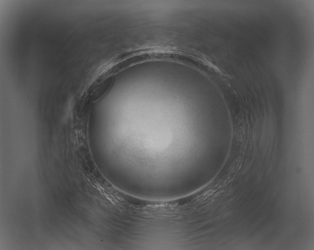 X0000054441255200507291308