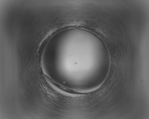 X0000054441256200507291308