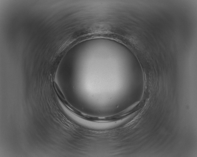 X0000054441257200507291308