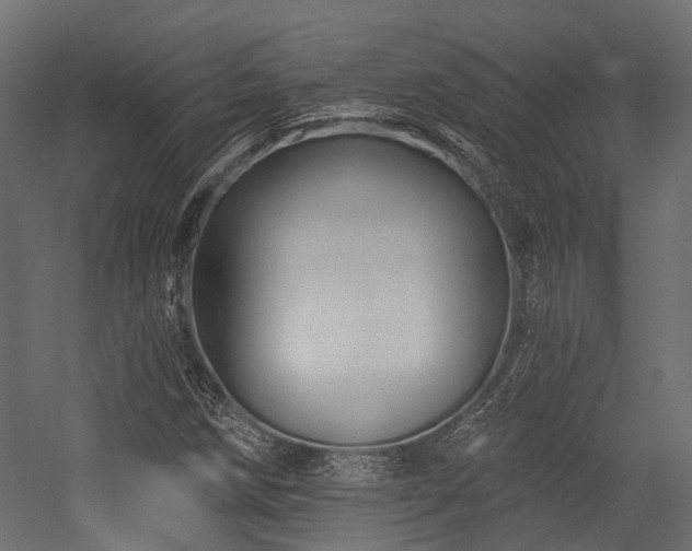 X0000054441258200507291308