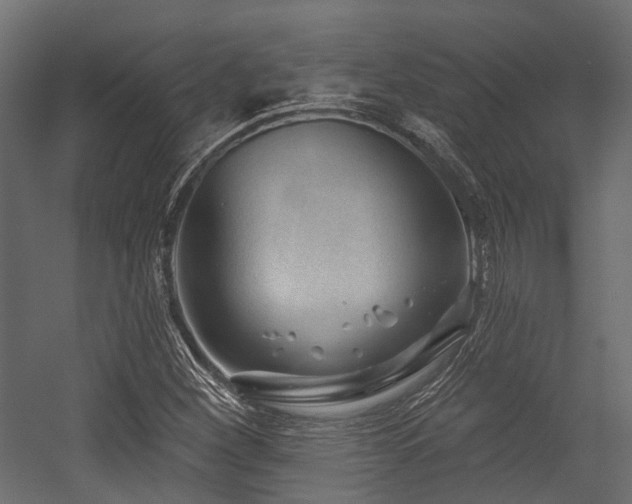 X0000054441260200507291308
