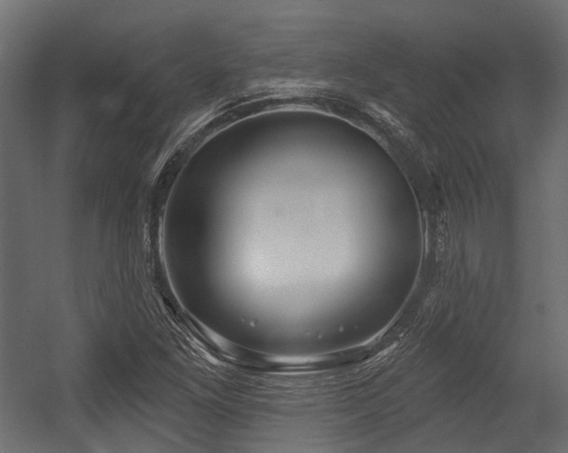 X0000054441261200507291308