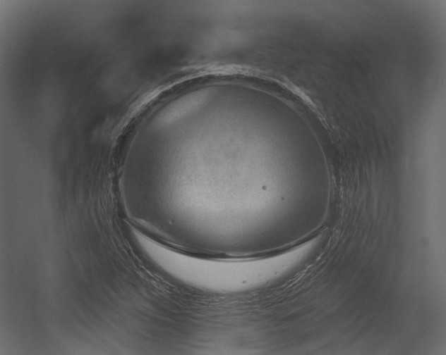 X0000054441263200507291308