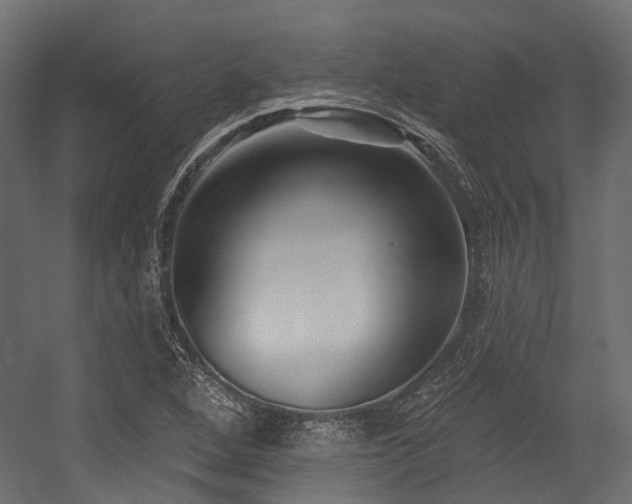 X0000054441264200507291308