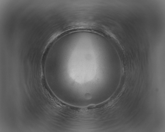 X0000054441267200507291308