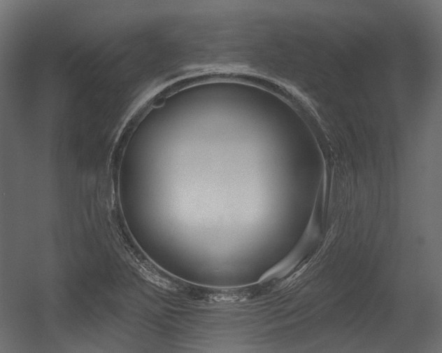 X0000054441271200507291308