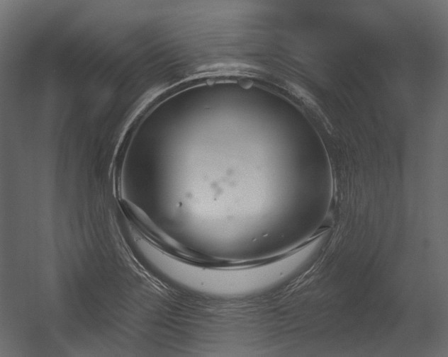 X0000054441275200507291308
