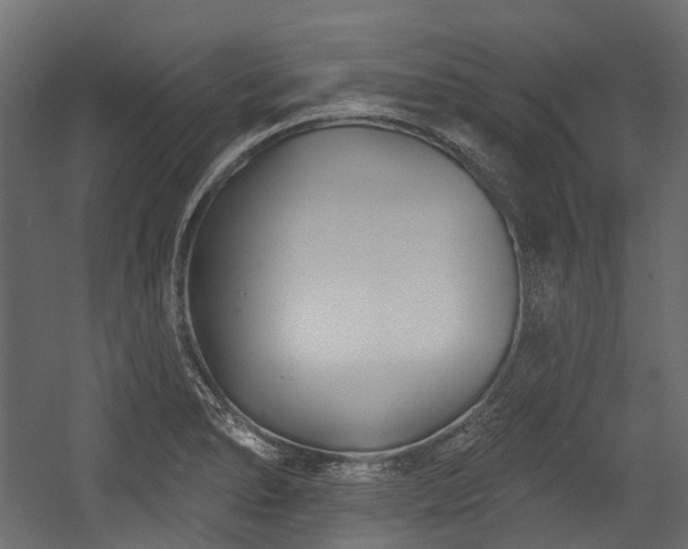 X0000054441278200507291308