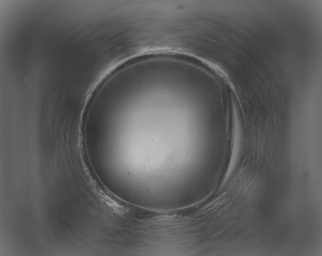 X0000054441279200507291308