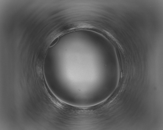X0000054441281200507291308