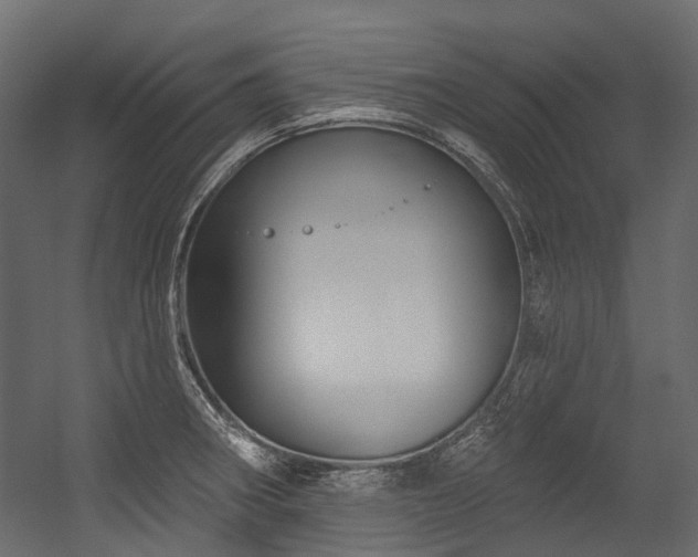 X0000054441282200507291308