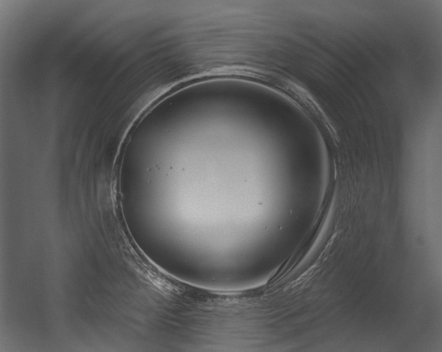 X0000054441284200507291308