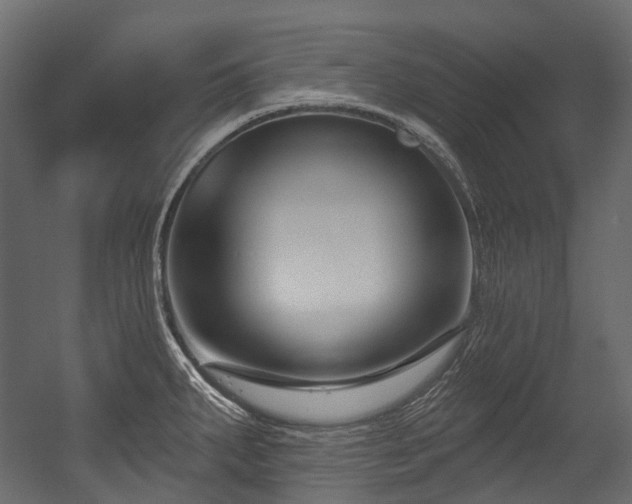 X0000054441287200507291308