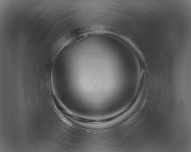 X0000054441289200507291308
