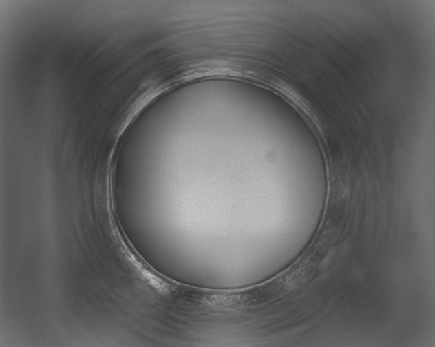 X0000054441290200507291308