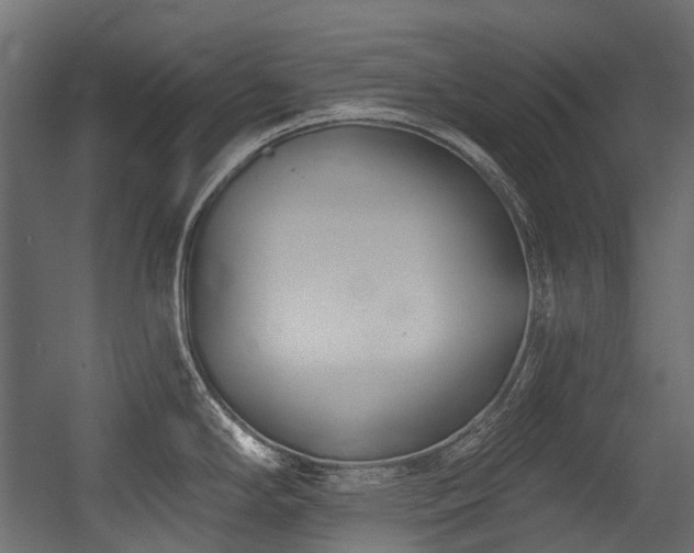 X0000054441294200507291308