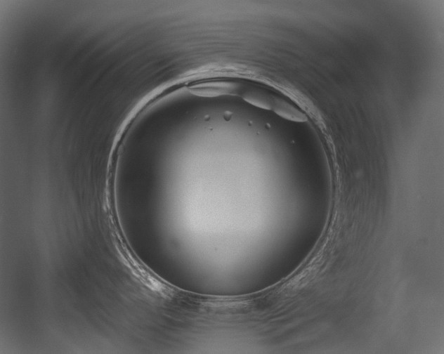 X0000054441296200507291308