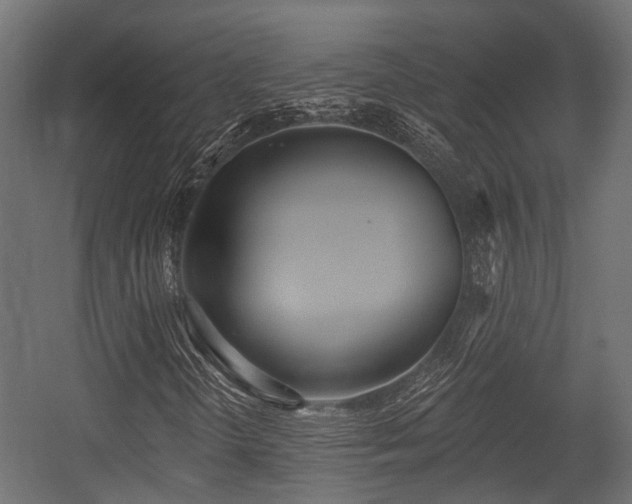 X0000054441298200507291307
