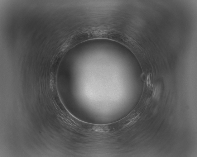 X0000054441299200507291307